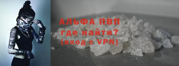apvp Алзамай