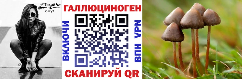 где купить наркоту  Талица  Псилоцибиновые грибы ЛСД 